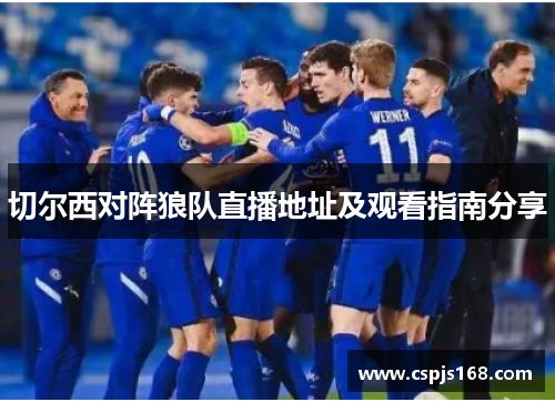 切尔西对阵狼队直播地址及观看指南分享